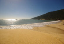 Verano 2021/2022 todo caro