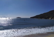 Feria de los Huecos 2026 (Outlet de alquileres)