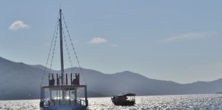 Marzo 2016 en Florianópolis, que hacer?