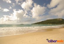 *** OFERTAS DE ALQUILER EN FLORIPA!!! (OFERTA DE ENCAJE Y FERIA DE LOS HUECOS) ***