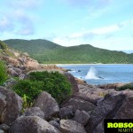 Encontrando tu lugar en la isla: 2015