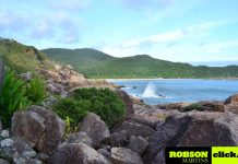 Encontrando tu lugar en la isla: 2015