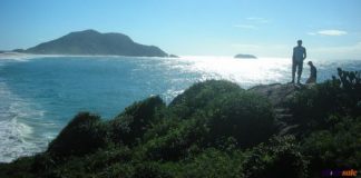 ¿Florianópolis o Meia Praia?