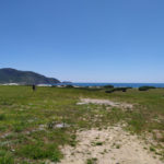 IMG_20191207_101201B