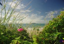 Feria de los huecos 2014 Playa de los Ingleses - norte