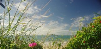 Feria de los huecos 2014 Playa de los Ingleses - norte