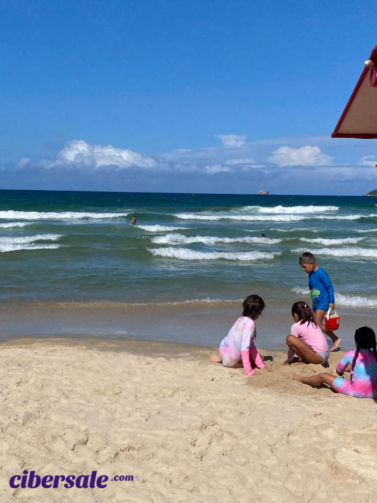 Playa de los Ingleses- Costado Norte- Gaivotas-2026