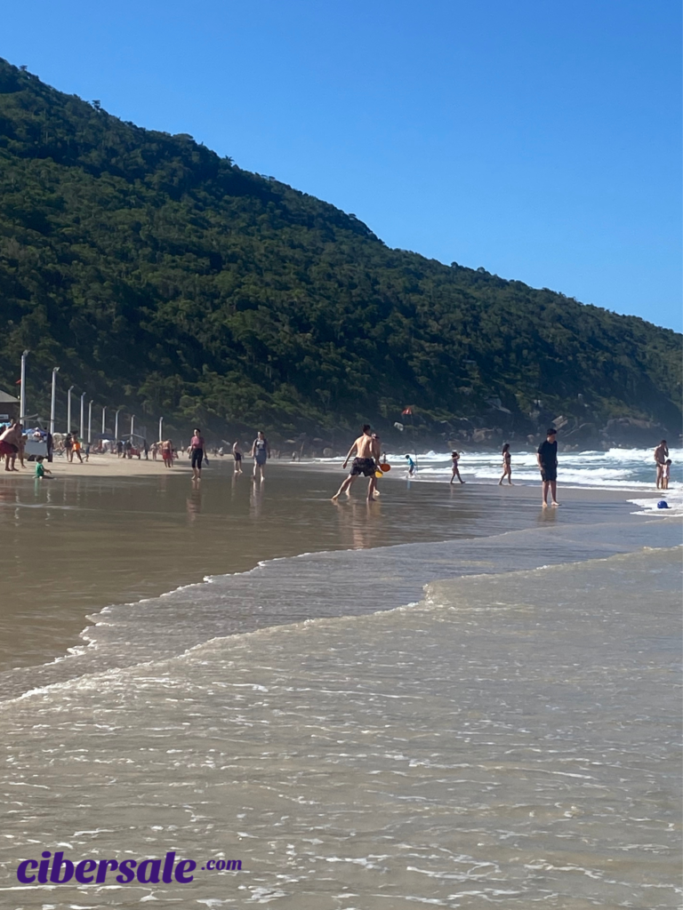 Playa de los Ingleses- Costado Norte- Gaivotas-2026