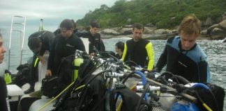 Florianópolis: buceo de bautismo Buceo y snorkeling en Florianópolis