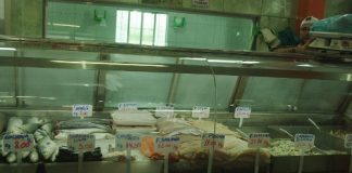 Florianópolis a sesenta pesos 2011/2012