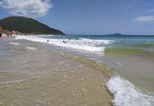 Vacaciones: disponibilidades en playa de los Ingleses Praia dos Ingleses Norte Florianópolis Brasil