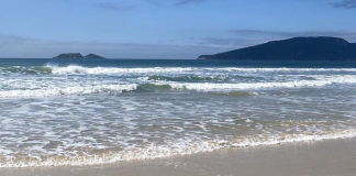 Cibersale Noticias 2026