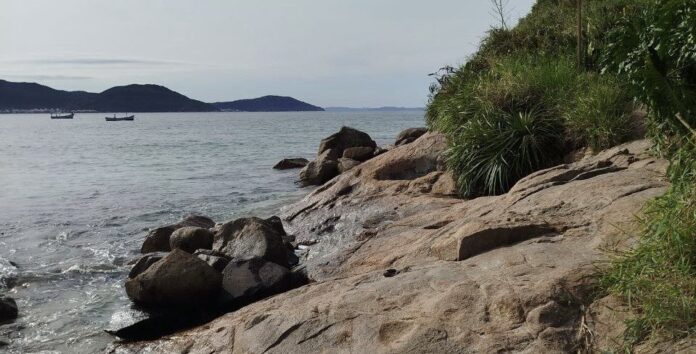 Playa de los Ingleses- Costado sur 2026